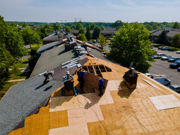 Best Storm Damage Roof Repair  in Culver, IN