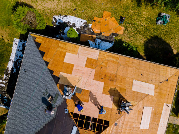 Best Roof Gutter Cleaning  in Culver, IN